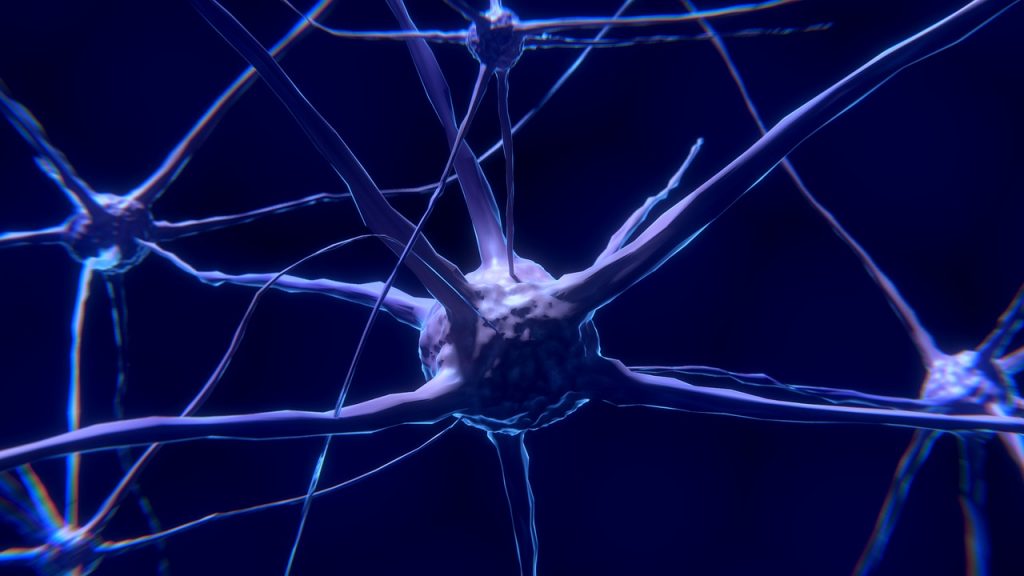 malos hábitos que matan nuestras neuronas