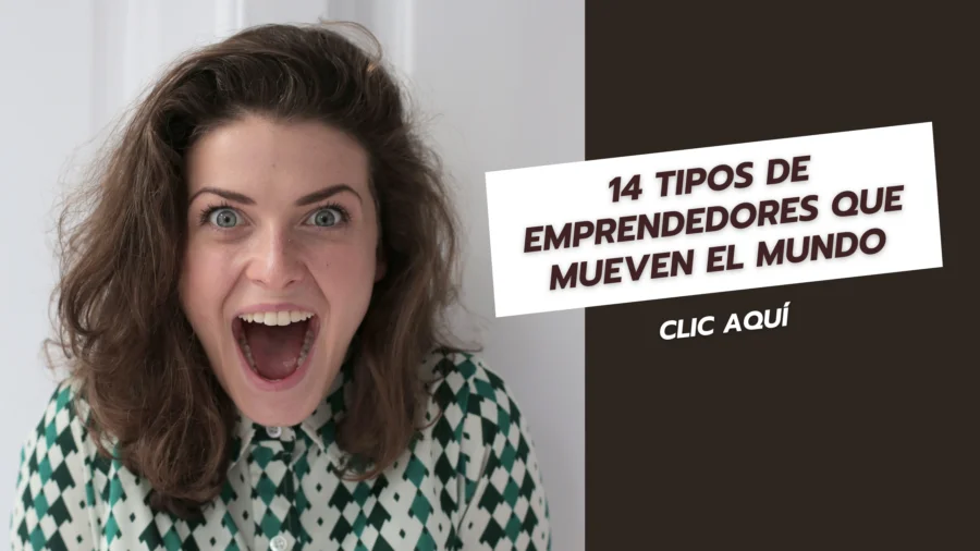 14 Tipos de emprendedores que mueven el mundo