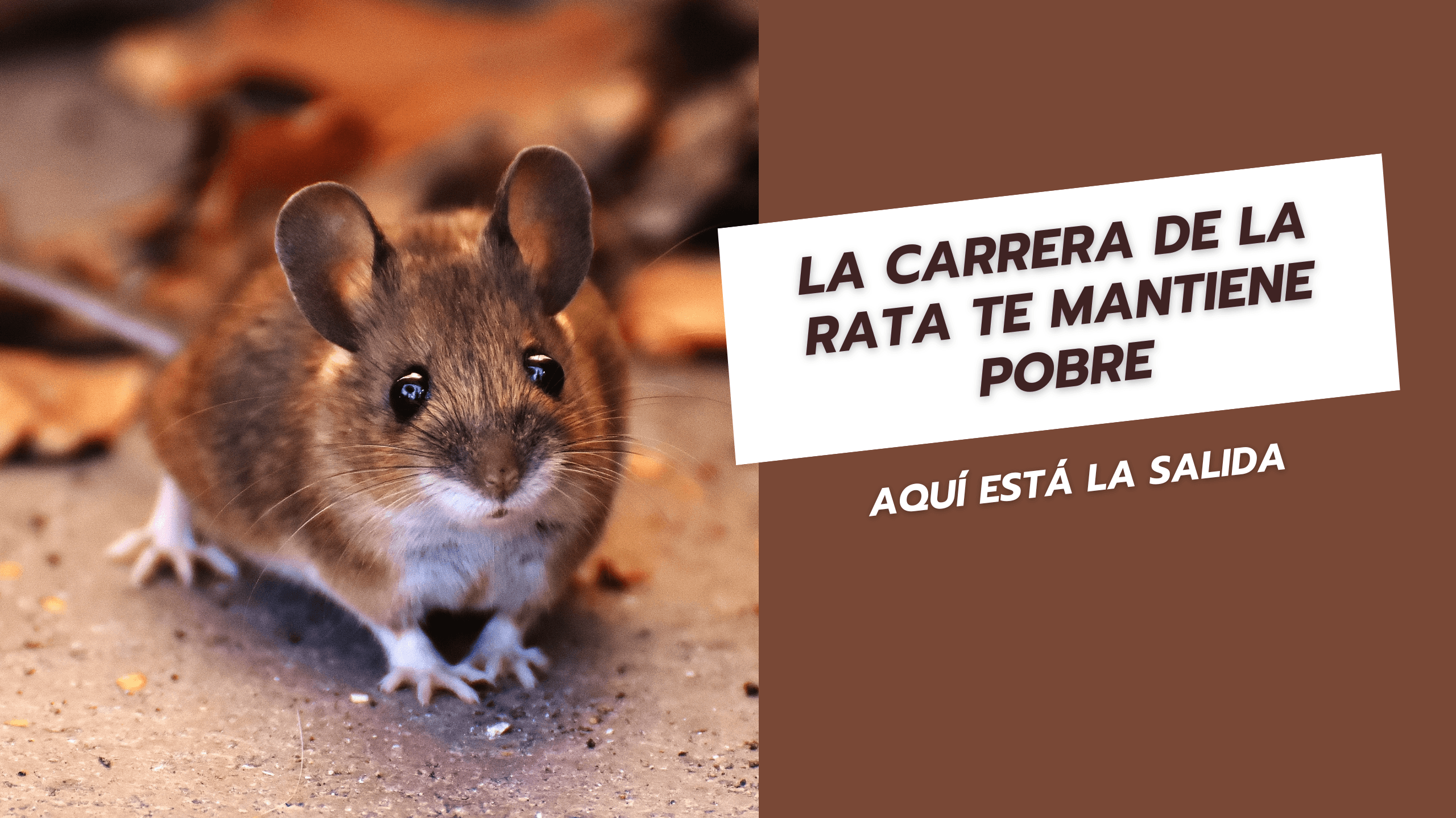 La carrera de la rata te mantiene pobre