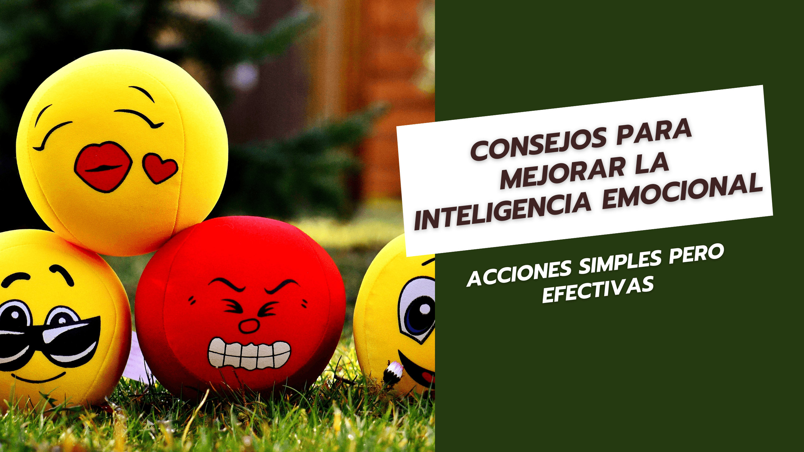 10 Consejos para Mejorar la Inteligencia Emocional Acciones Simples pero efectivas