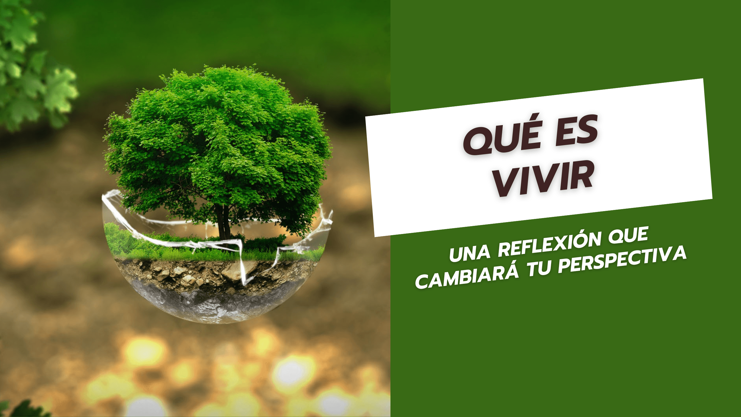 Qué es vivir Una reflexión que cambiará tu perspectiva