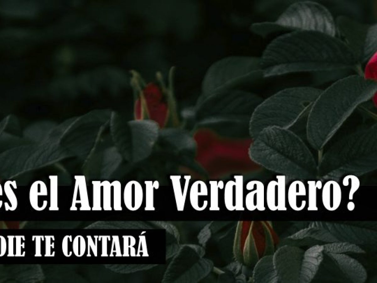 ≫ ¿Qué es el Amor Verdadero? LO QUE NADIE TE CONTARÁ